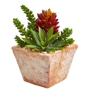 11” Mixed Succulents Artificial Plant In Small Terra Cotta Vase