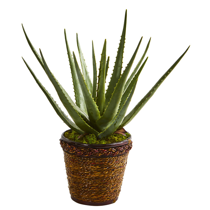 Aloe Artificial Plant In Basket